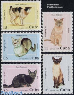 Cuba 1997 Hong Kong, Cats 5v, Mint NH, Nature - Cats - Ongebruikt