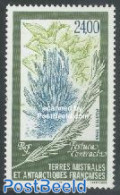 French Antarctic Territory 1999 Flora 1v, Mint NH, Nature - Flowers & Plants - Ongebruikt