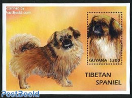 Guyana 1997 Tibet Spaniel S/s, Mint NH, Nature - Dogs - Guyana (1966-...)
