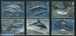 Jersey 2000 Environment, Sea Mammals 6v, Mint NH, Nature - Environment - Sea Mammals - Protección Del Medio Ambiente Y Del Clima