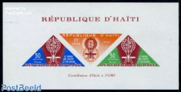 Haiti 1962 Anti Malaria S/s With Extra Text Under Stamps, Mint NH, Health - Nature - Health - Insects - Haïti