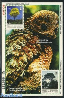 Bolivia 1994 Environment Protection S/s, Mint NH, Nature - Birds - Art - Bridges And Tunnels - Ponts