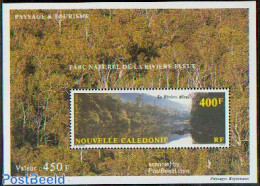 New Caledonia 1992 Blue River S/s, Mint NH, Nature - Water, Dams & Falls - Ongebruikt
