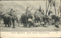 CPA Gustav Hagenbeck's Große Indische Ausstellung, Arbeitselefanten - Sonstige & Ohne Zuordnung