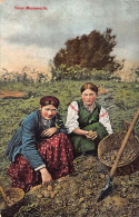 UKRAINE - Ukrainian Types - Women Gathering Potatoes - Ed. Granbergs 8322 - Ukraine