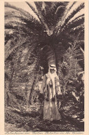 Israel - TABGHA - Palmtree In The Garden - Publ. Deutsches Hospiz - Kettling & Krüger  - Israel