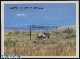 Gambia 1989 Ostrich S/s, Mint NH, Nature - Birds - Gambie (...-1964)