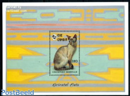 Gambia 1993 Colorpoint Cat S/s, Mint NH, Nature - Cats - Gambie (...-1964)
