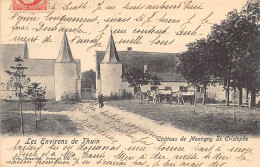 THUIN (Hainaut) Château De Montigny Saint Cristophe - Ed. Nels Série 16 N. 21 - Thuin
