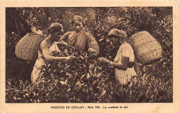 SRI LANKA - Missions Of Ceylon - Picking Tea Leaves - Publ. Oblats De Marie-Immaculée Série VIII - Sri Lanka (Ceylon)