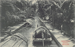 Sri Lanka - Negombo Canal - Publ. Plâté & Co.  - Sri Lanka (Ceylon)
