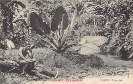 Polynésie - TAHITI - Tumu Ape - Ed. F. Homes  - Polynésie Française