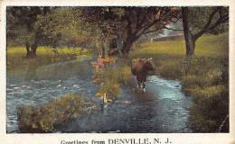 Usa - DENVILLE (NJ) Greetings From - Other & Unclassified