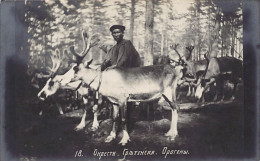 Russia - Near SRETENK - Oroqen People With Reindeer - REAL PHOTO. - Rusia