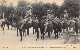 India - WORLD WAR ONE - Mulleteers Of The Indian Army In France - India