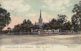 South Africa - PORT ELIZABETH - Trinity Church - Publ. Hallis & Co.  - Sudáfrica