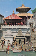 Nepal - KATHMANDU - Temple Of Pasupati Nath - Nepal