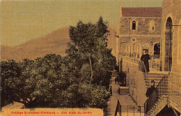 Liban - Collège St-Joseph D'Antoura - Une Allée Du Jardin - Ed. A. Breger Frères  - Líbano