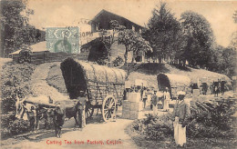 Sri Lanka - Carting Tea From Factory - Publ. Plâté & Co. 81 - Sri Lanka (Ceylon)