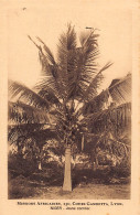 Nigeria - Young Coconut Tree - Publ. African Missions Of Lyon (France)  - Nigeria