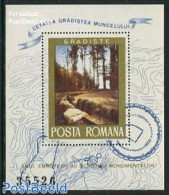 Romania 1975 European Monument Year S/s, Mint NH, History - Nature - Archaeology - Europa Hang-on Issues - Trees & For.. - Nuovi