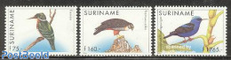 Suriname, Republic 1996 Birds 3v (75g,160g,1765g), Mint NH, Nature - Birds - Surinam