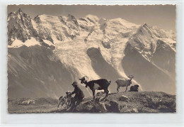 Le Mont-Blanc Vu De Grand-Praz (74) Berger Avec Chèvres - Ed. G. Tairraz  - Autres & Non Classés