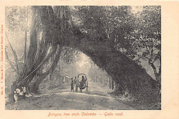 Sri Lanka - COLOMBO - Banyan Tree Arch - Galle Road - Publ. F. Skeen & Co. 12 - Sri Lanka (Ceylon)