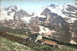 11188952 Wengernalp Moench Jungfrau Wengen - Autres & Non Classés