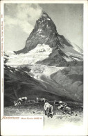 11188950 Matterhorn VS Mont Cervin Kuehe Matterhorn VS - Autres & Non Classés
