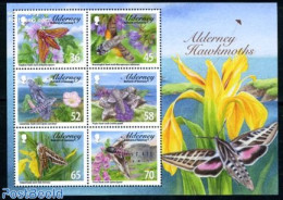 Alderney 2011 Hawkmoths 6v M/s, Mint NH, Nature - Butterflies - Flowers & Plants - Insects - Alderney