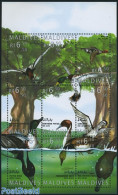 Maldives 1995 Ducks 9v M/s (9x6.50), Mint NH, Nature - Birds - Ducks - Maldiven (1965-...)
