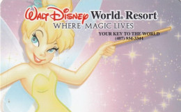 USA - Walt Disney World Resort, Charge Card, Unused - Cartas De Hotels