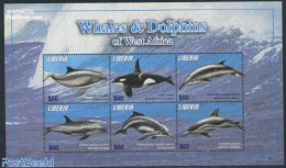 Liberia 2010 Whales & Dolphins 6v M/s, Mint NH, Nature - Sea Mammals - Other & Unclassified