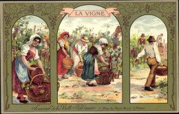 CPA La Vigne, Souvenir Des Schönen Gärtners, 2 Rue Pont Neuf, Paris, Weinlese - Andere & Zonder Classificatie
