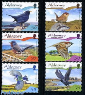Alderney 2007 Resident Birds (part 2) 6v, Mint NH, Nature - Birds - Art - Castles & Fortifications - Castelli