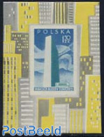 Poland 1957 United Nations S/s, Mint NH, History - United Nations - Ongebruikt