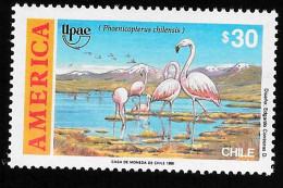 1990 Flamingos  Michel CL 1395 Stamp Number CL 927 Yvert Et Tellier CL 1003 Stanley Gibbons CL 1331 Xx MNH - Chili
