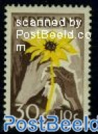 Netherlands 1949 30+10c Sunflower, Mint NH, Nature - Flowers & Plants - Ongebruikt