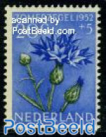Netherlands 1952 20+5c Cornflower, Stamp Out Of Set, Mint NH, Nature - Flowers & Plants - Ongebruikt