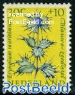 Netherlands 1960 30+10c,Eryngium Maritimum, Stamp Out Of Set, Mint NH, Nature - Flowers & Plants - Ungebraucht