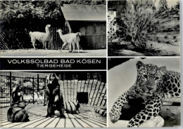 50779311 - Bad Koesen - Bad Koesen