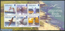 Alderney 2003 Migrating Birds S/s, Mint NH, Nature - Birds - Alderney