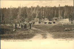 11188289 Yellowstone_National_Park Tourists
Bear - Autres & Non Classés