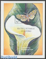 Saint Vincent 2001 Butterflies S/s, Anaxita Drucei, Mint NH, Nature - Butterflies - St.Vincent (1979-...)