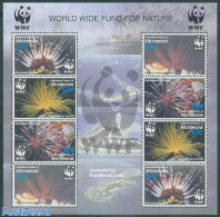 Micronesia 2005 WWF, Corals 2x4v M/s, Mint NH, Nature - World Wildlife Fund (WWF) - Micronésie