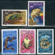 Upper Volta 1966 Animals 5v, Mint NH, Nature - Animals (others & Mixed) - Monkeys - Reptiles - Snakes - Sonstige & Ohne Zuordnung