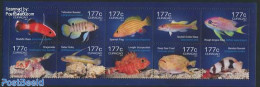 Curaçao 2014 Fish 10v M/s, Mint NH, Nature - Fish - Fische