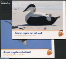 Netherlands 2016 Birds Of Griend Island, Presentation Pack 536a+b, Mint NH, Nature - Birds - Ducks - Unused Stamps