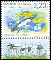 BULGARIA - 2016 - La Migration De La Cigogne Blanche - 1v** Avec Vignet - "rare" - Storks & Long-legged Wading Birds